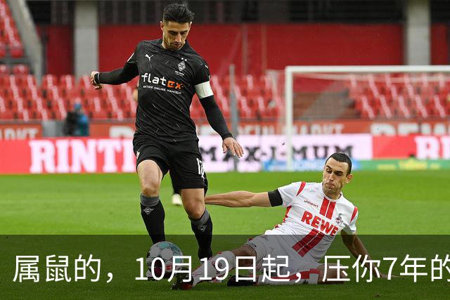 属鼠的，10月19日起，压你7年的死结，终于松了，从此一飞冲天